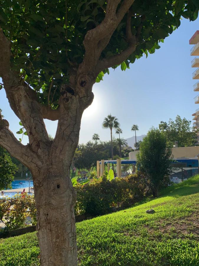 Minerva Διαμέρισμα Benalmádena Εξωτερικό φωτογραφία